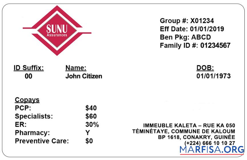 Blank Guinea health insurance card download for verification